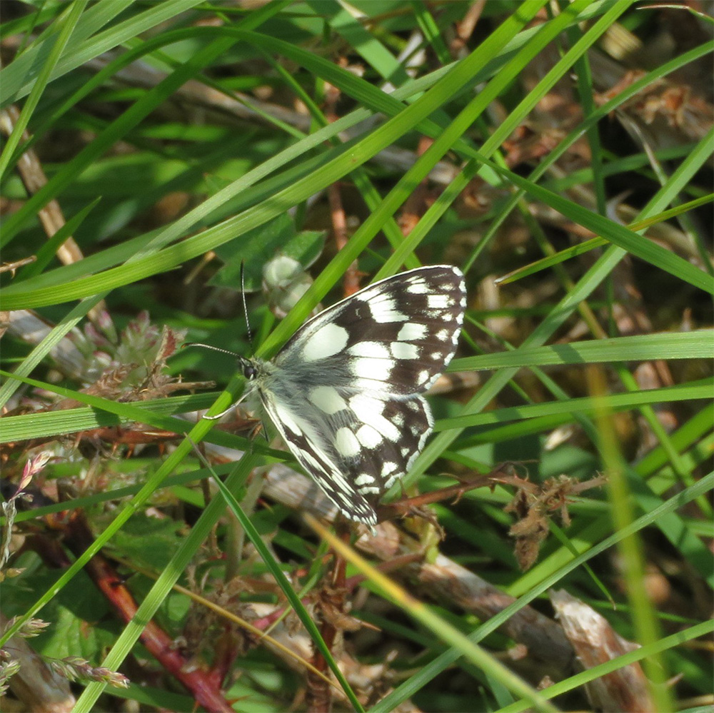 a woman filling a kettle