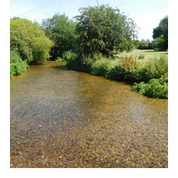 The meads in Wheathampstead