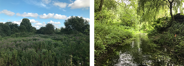 Images of the river Ivel before the augmentation works begin