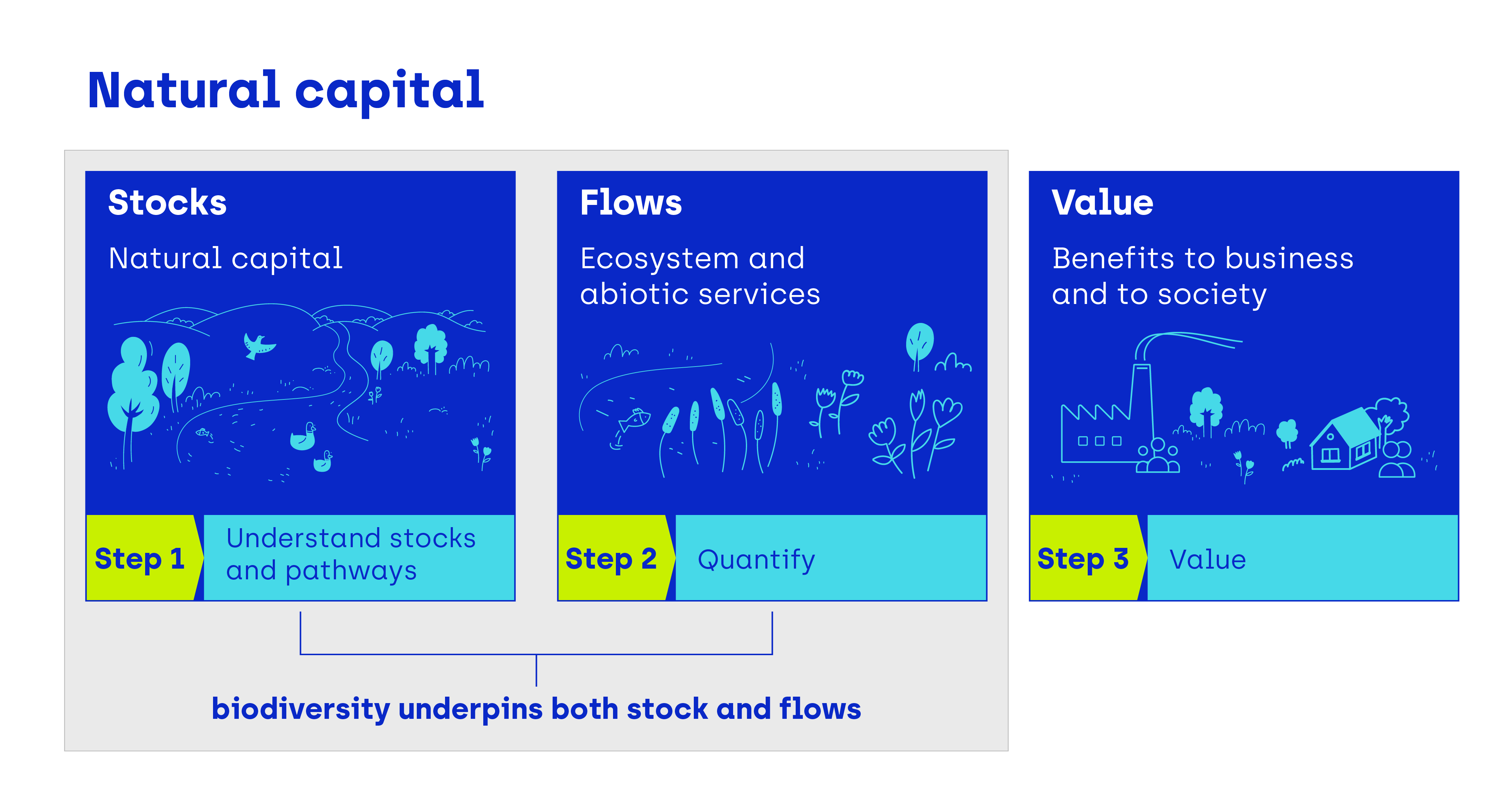 Step 1 - understand stocks and pathways, Step 2 - quantify, step 3 - value