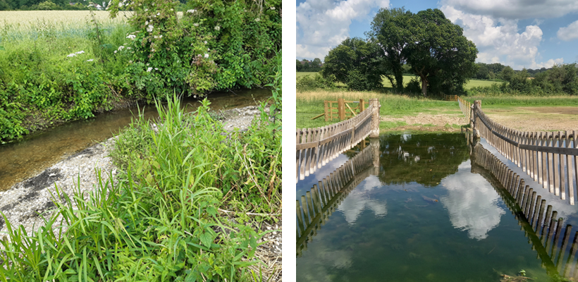 Example of one of the gravel berms in the existing channel and the cattle crossing point