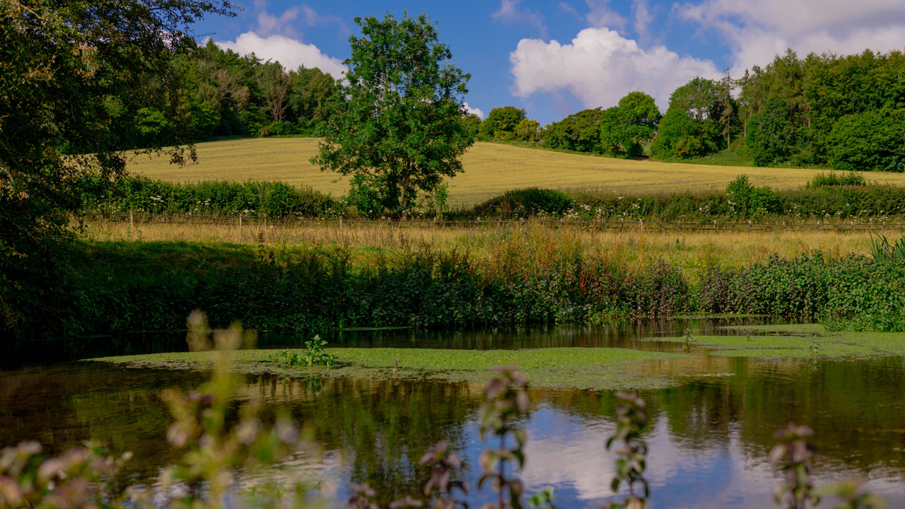 scenic view of countryside