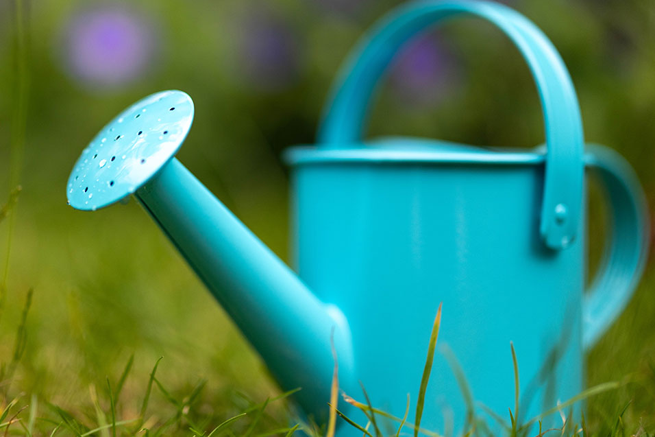 a watering can