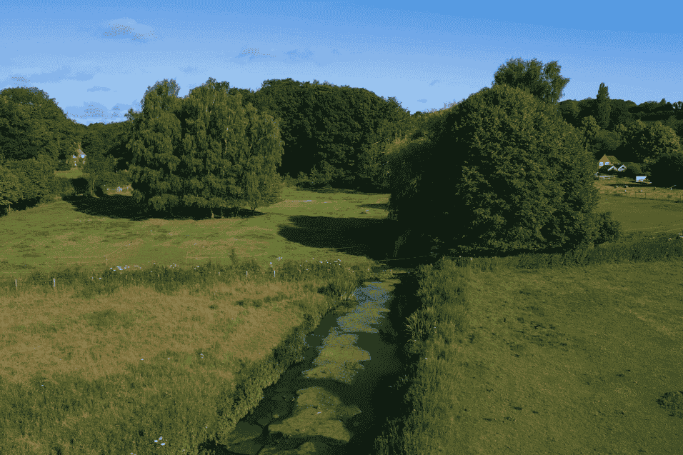 restored stream