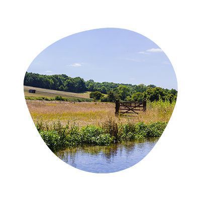 a picture of a river
