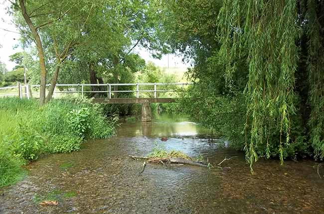 River Rib