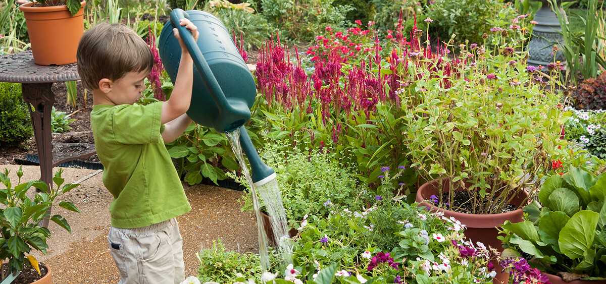 Child watering garden with a watering can