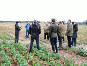 Field with group of people