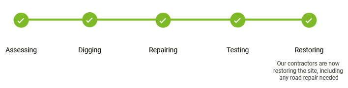 Repair complete icon