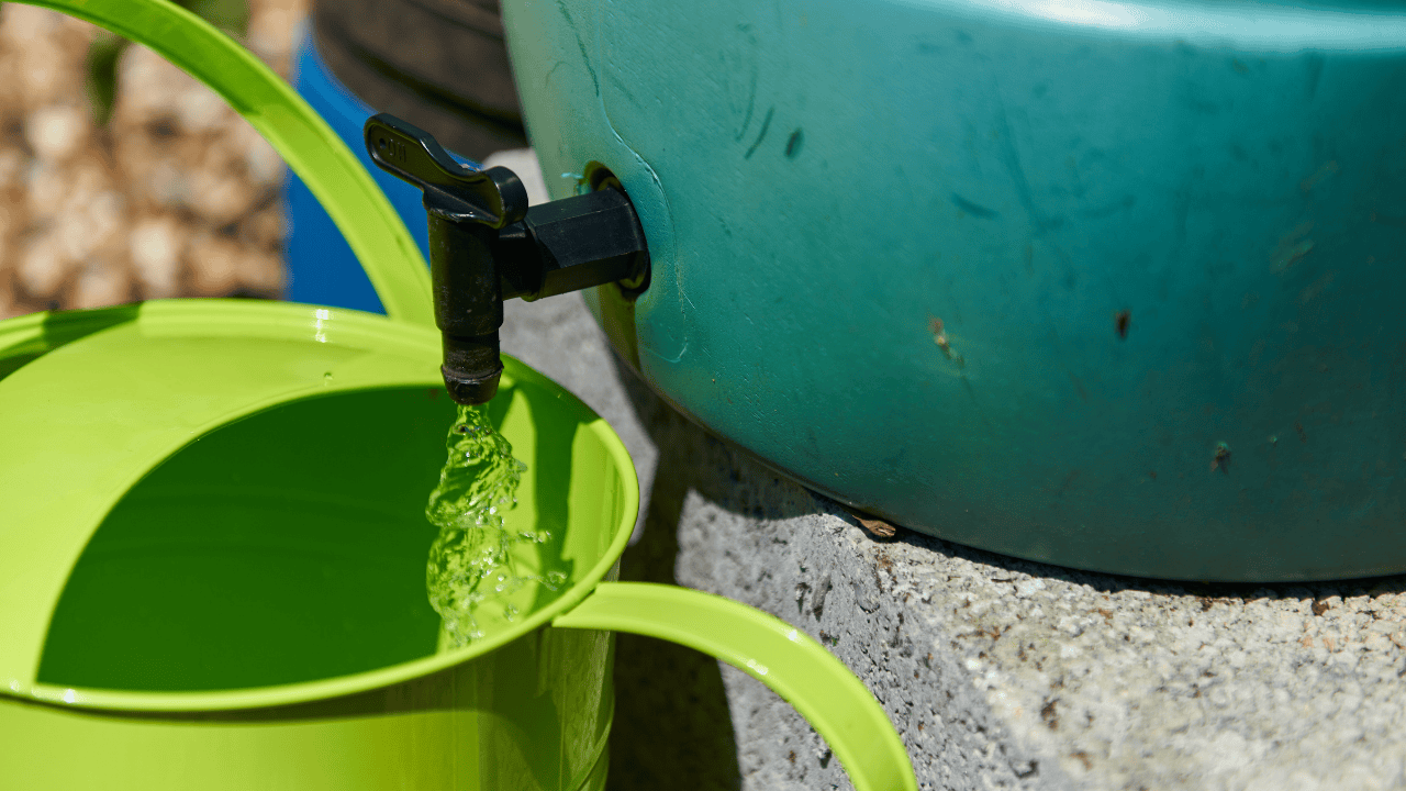 Rainy day tips: Save water during the British summer 