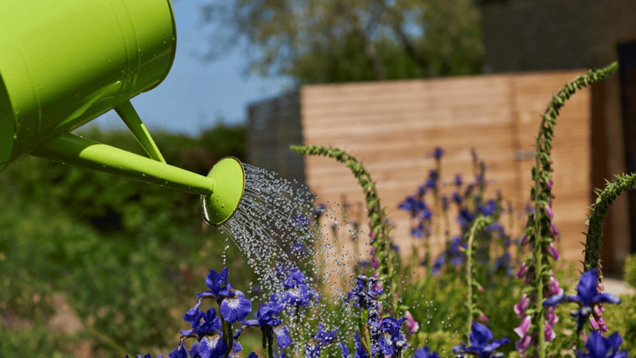 Easy and effective water-saving habits for a greener summer 