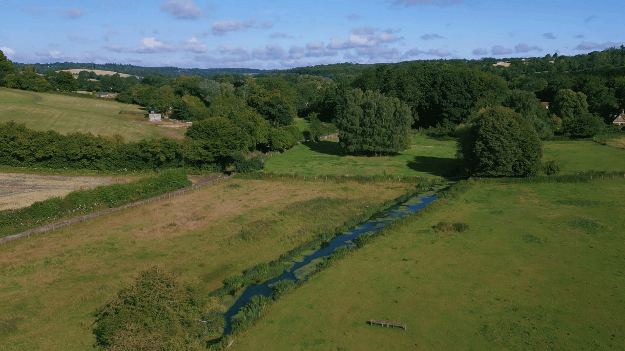 Affinity Water joins global movement for nature reporting as a TNFD Adopter 