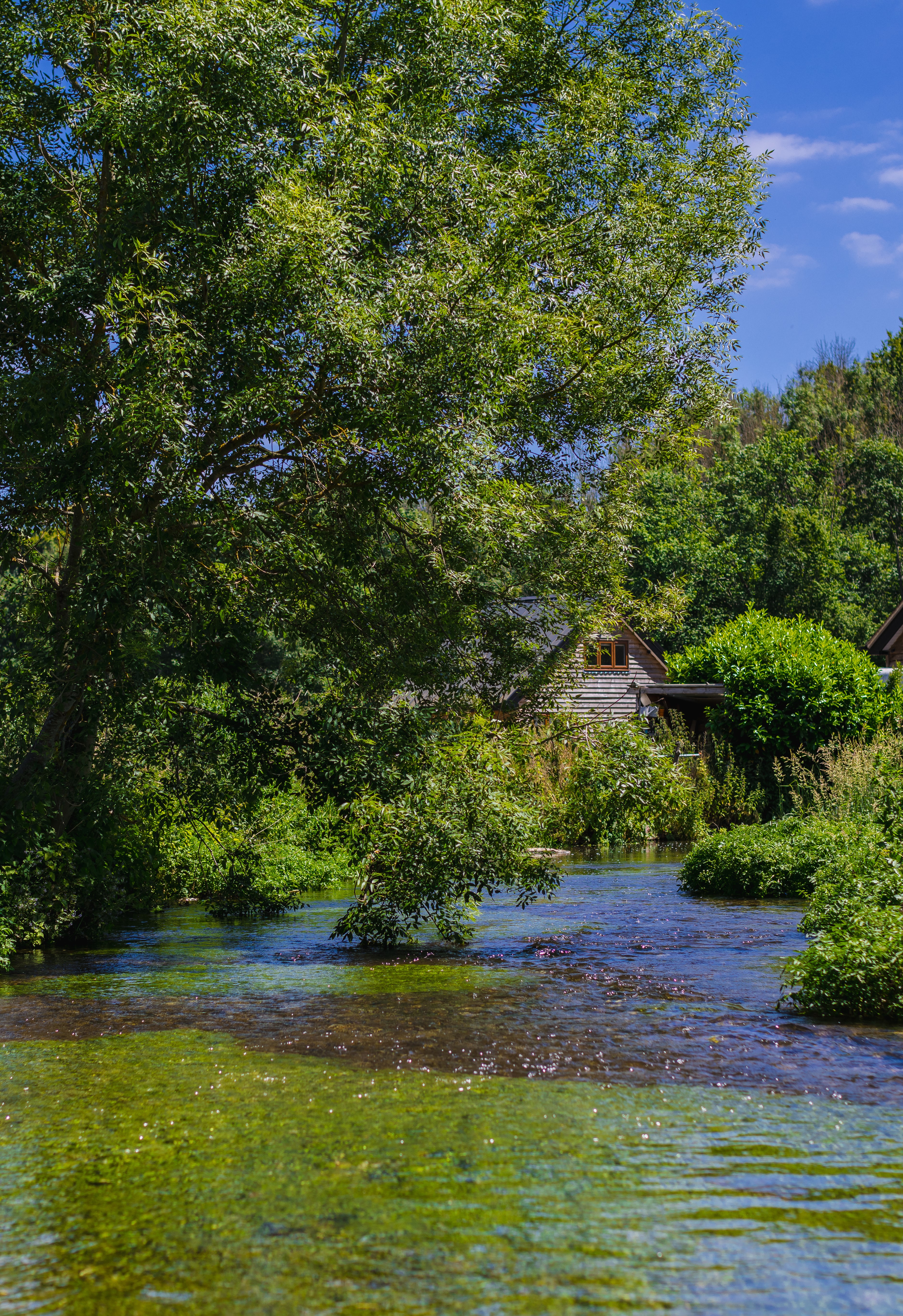 Affinity Water publishes annual results for 2024/25