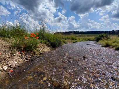 River bend upstream