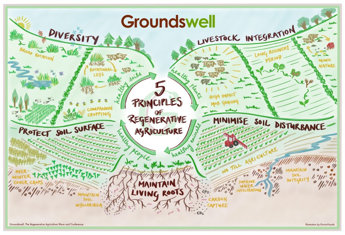 Groundswell show logo