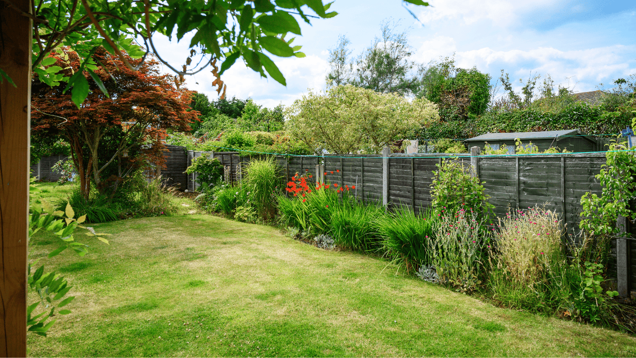 Why brown lawns aren’t dead & how to water smarter 