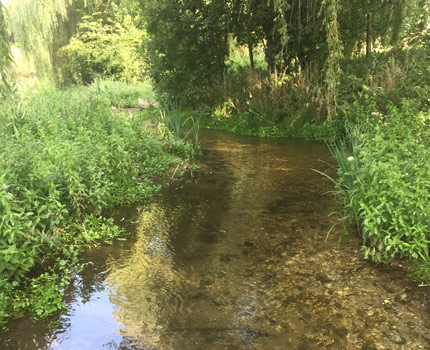 Gadebridge Park river bank after the river restoration